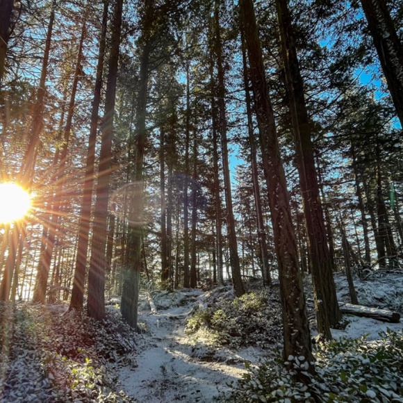 2nd Hand Wins...! - Picture 7 of 16